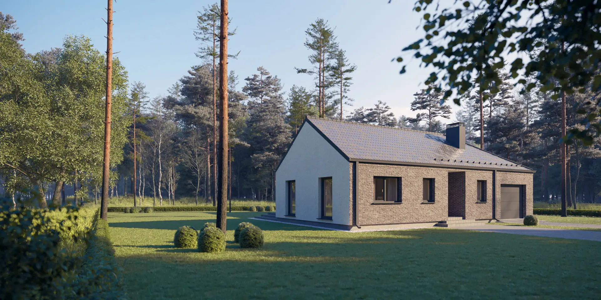 Vieno aukšto namo projektas 165 m²: 3 Miegamieji, 1 Vonios, Atvira virtuvė, Garažas