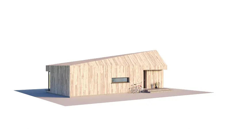Vieno aukšto namo projektas 50 m²: 2 Miegamieji, 1 Vonios, Atvira virtuvė, be Garažo