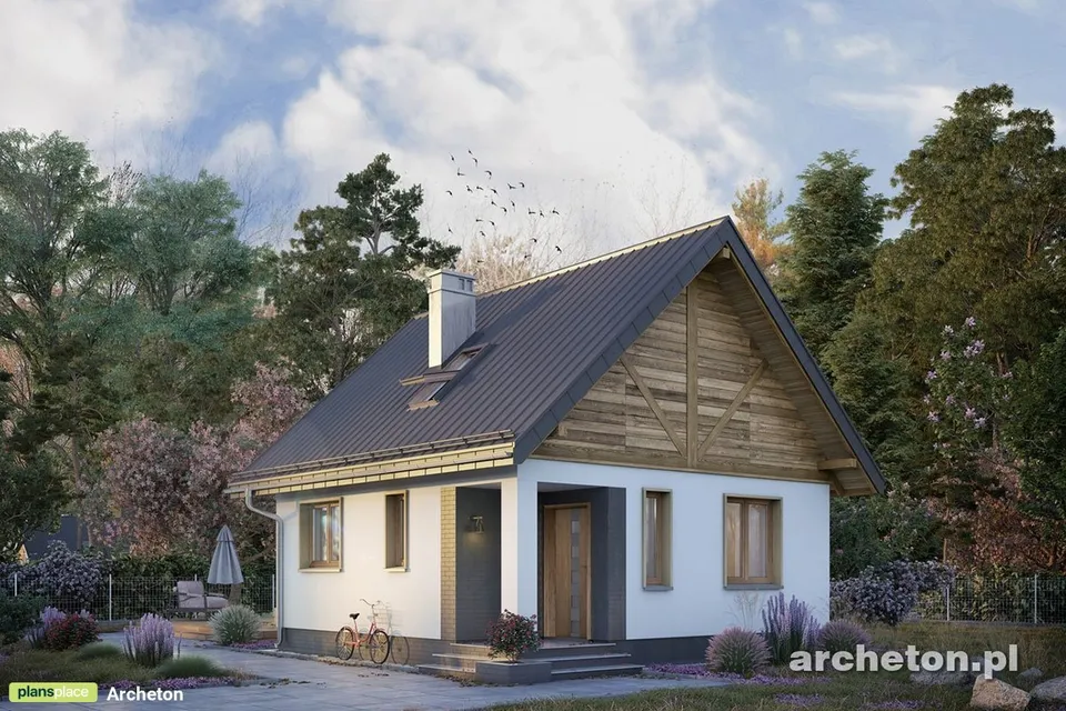 Pagrindiniai vaizdai 1 – Vieno aukšto namo projektas 39 m², 1 Miegamieji — 50952R